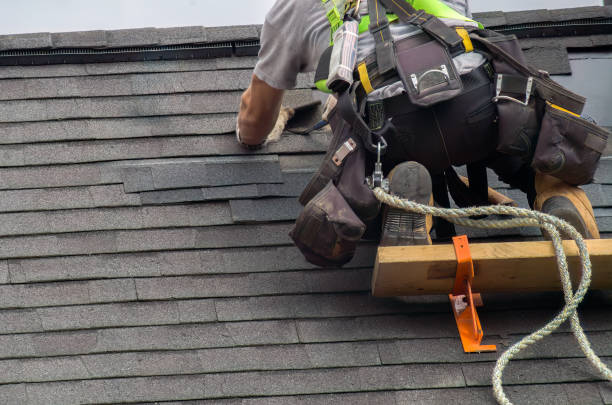Roof Gutter Cleaning in Pitcairn, PA